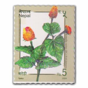 2024 Nepal Acmella Calva DC. R.K Jansen 1v Stamp